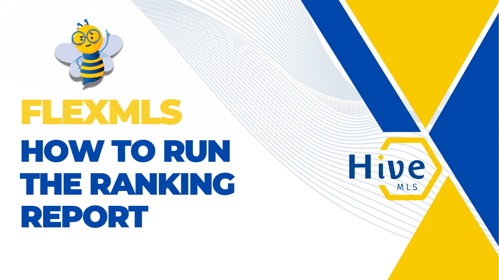 How to run the ranking report