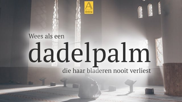 Wees als een dadelpalm die haar bladeren nooit verliest