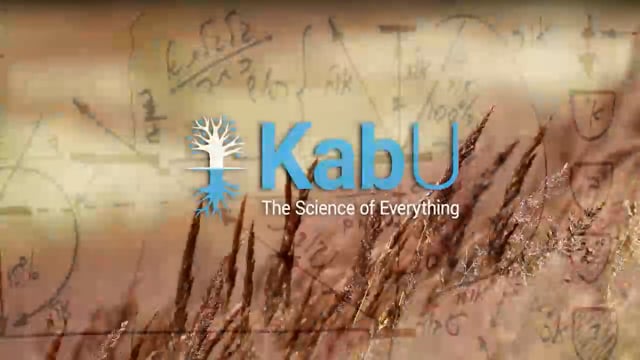 Feb 02, 2025 – The Rav, The Group & The Books (cont.)