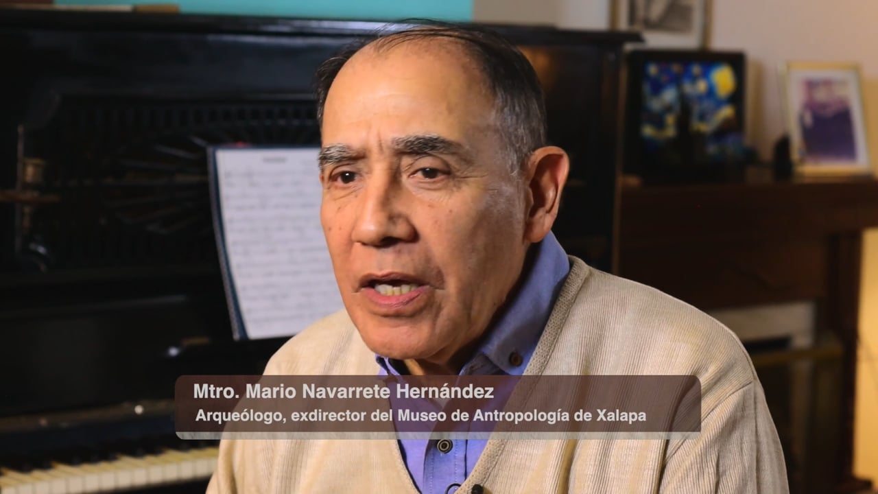 Mario Navarrete Hernández