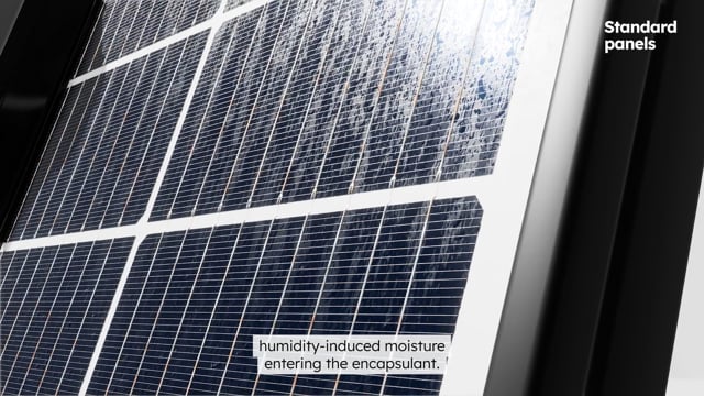 It's not the heat it's the HUMIDITY: Maxeon stands up against humidity-caused corrosion