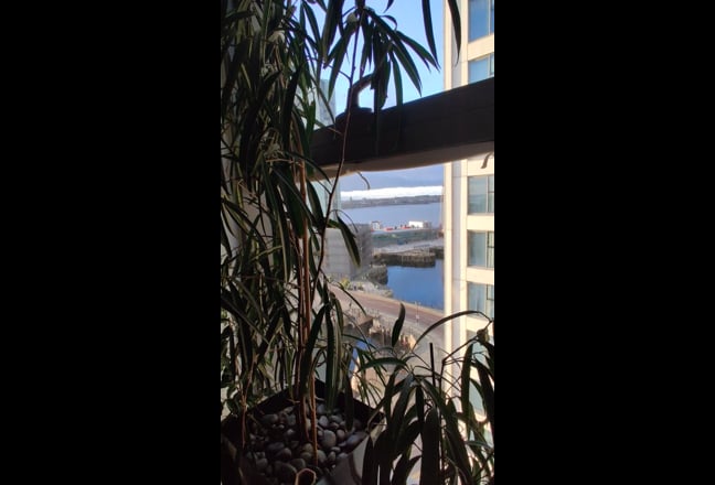 Perfect Riverviews! Perfume Free.  Main Photo