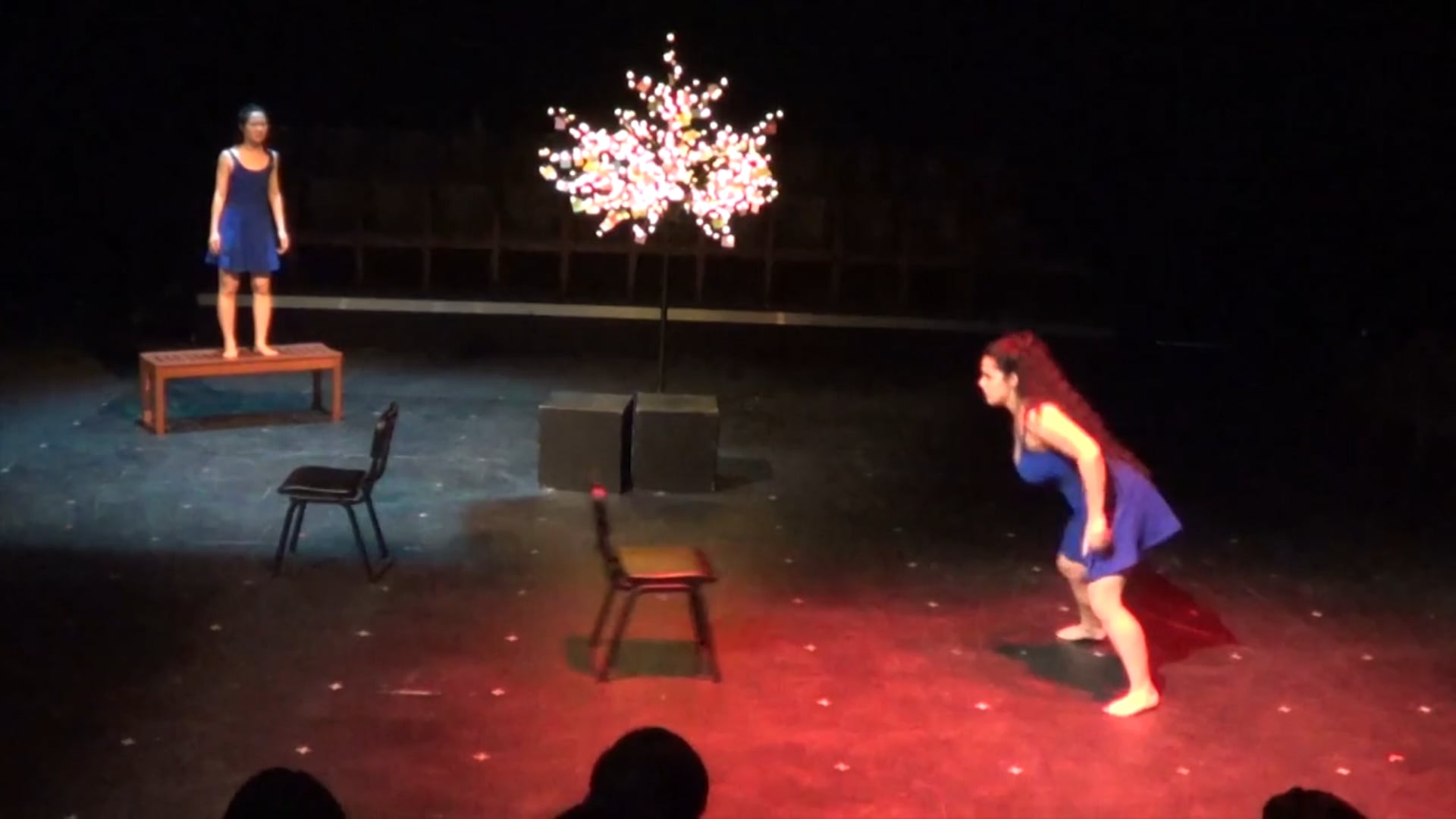 Alessandra Ruiz Physical Theatre Reel