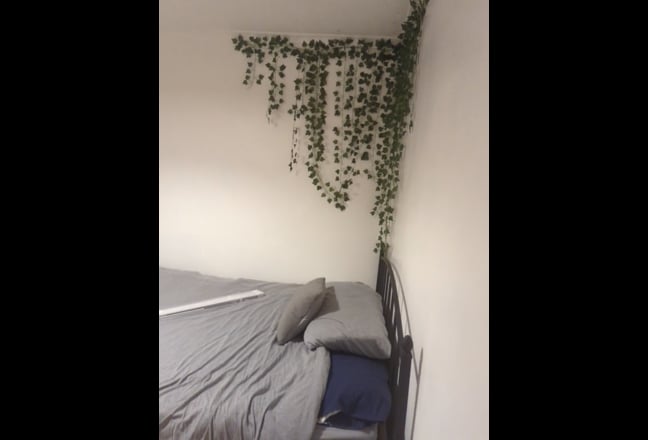 Double room to rent in family home Main Photo