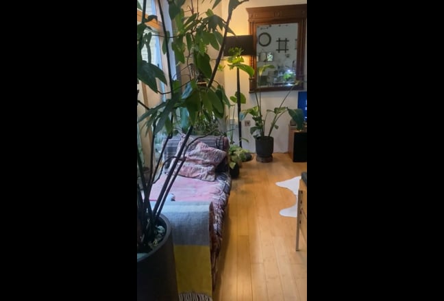 Double room in gated courtyard on the canal Main Photo