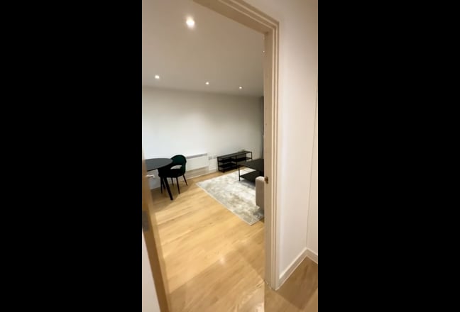 LARGE En-suite Double/Lounge/Balcony SE1  Main Photo