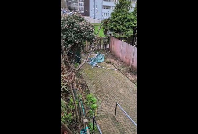 Double Room available in Bow (open to pets) Main Photo