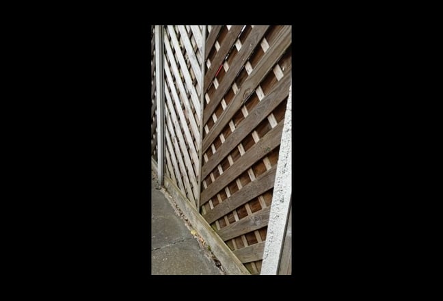 Video 1: