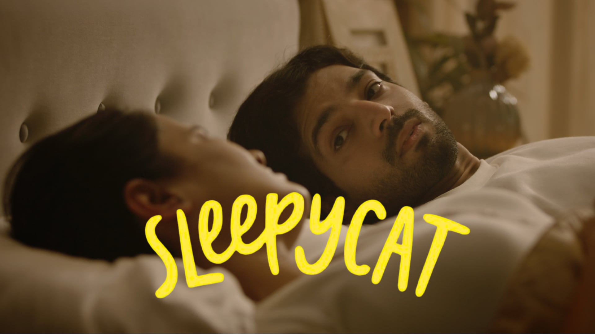 Sleepy Cat Mattress Contour Pillow