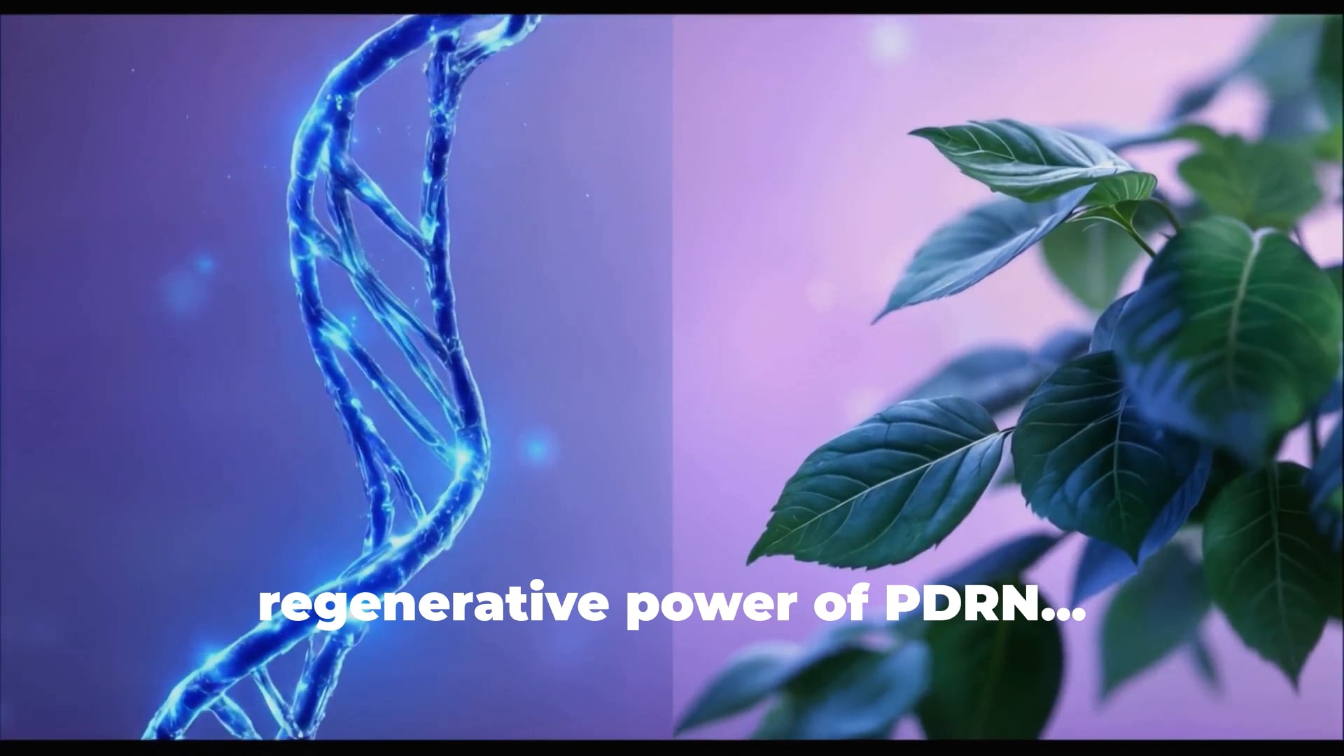 Regenerative power of PDRN Mesoglory Cica