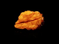 Hand-Carved Baltic Amber Dragon 245 Grams