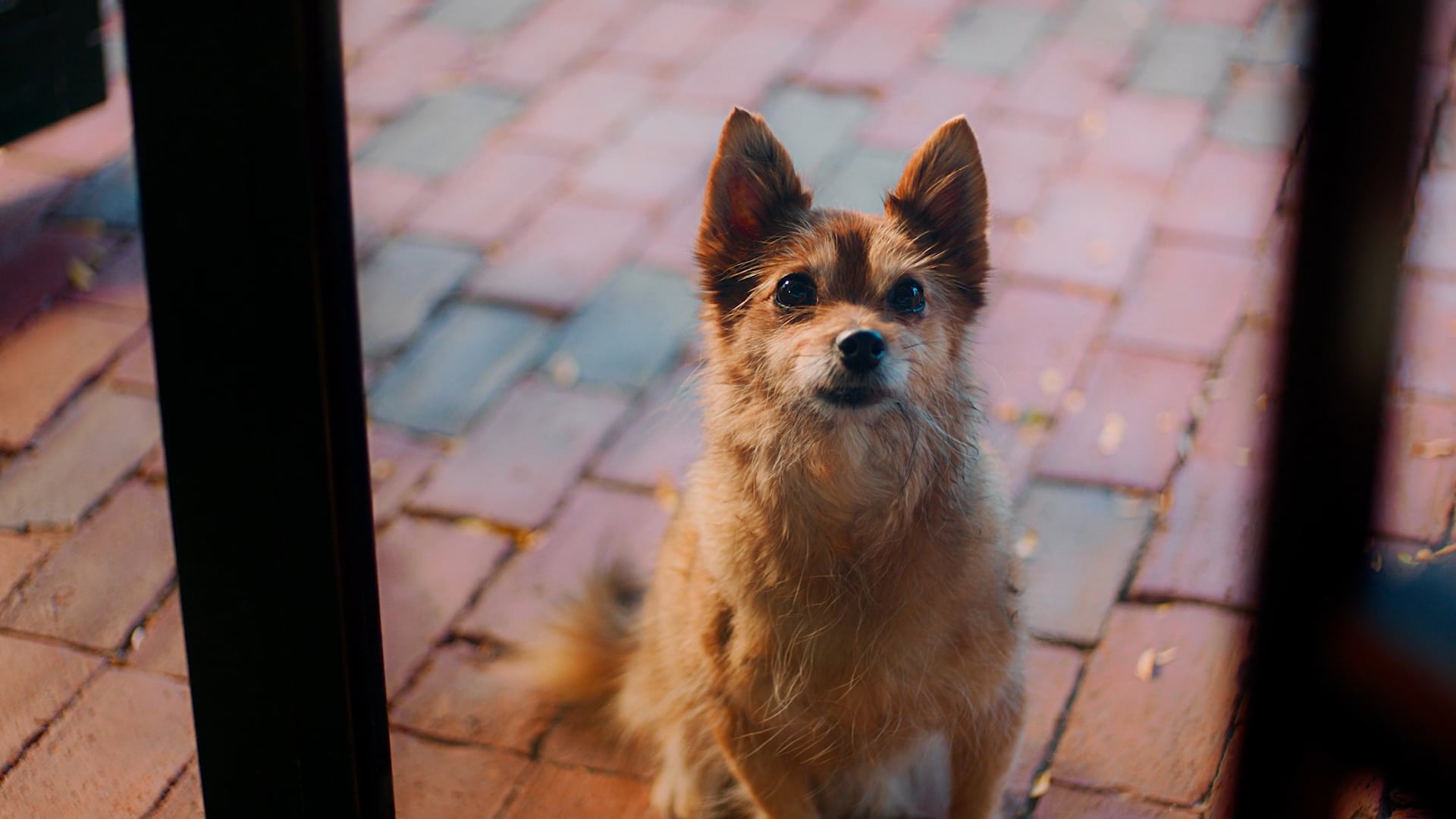 Instacart :60 — Just when you need it