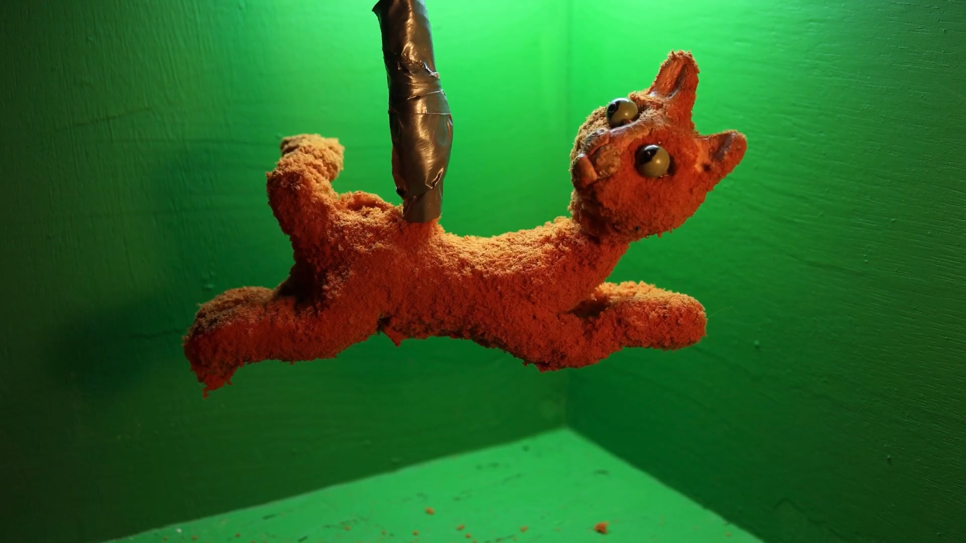 Stop Motion Cat Animation Test