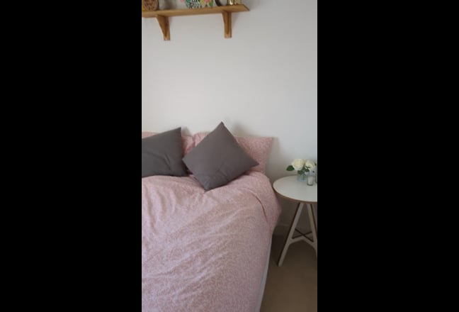 Single Female Professional Lodger Wanted  Main Photo