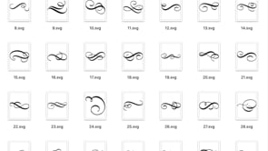100+ Calligraphy Flourishes SVG/ PNG, a Decorative Illustration by Bloomline Studio (Thumbnail 7 of 7)