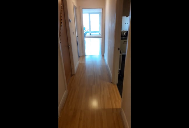 Video 1: