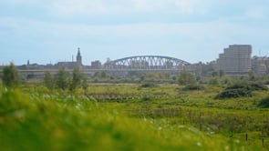 Hazenpark - Nijmegen