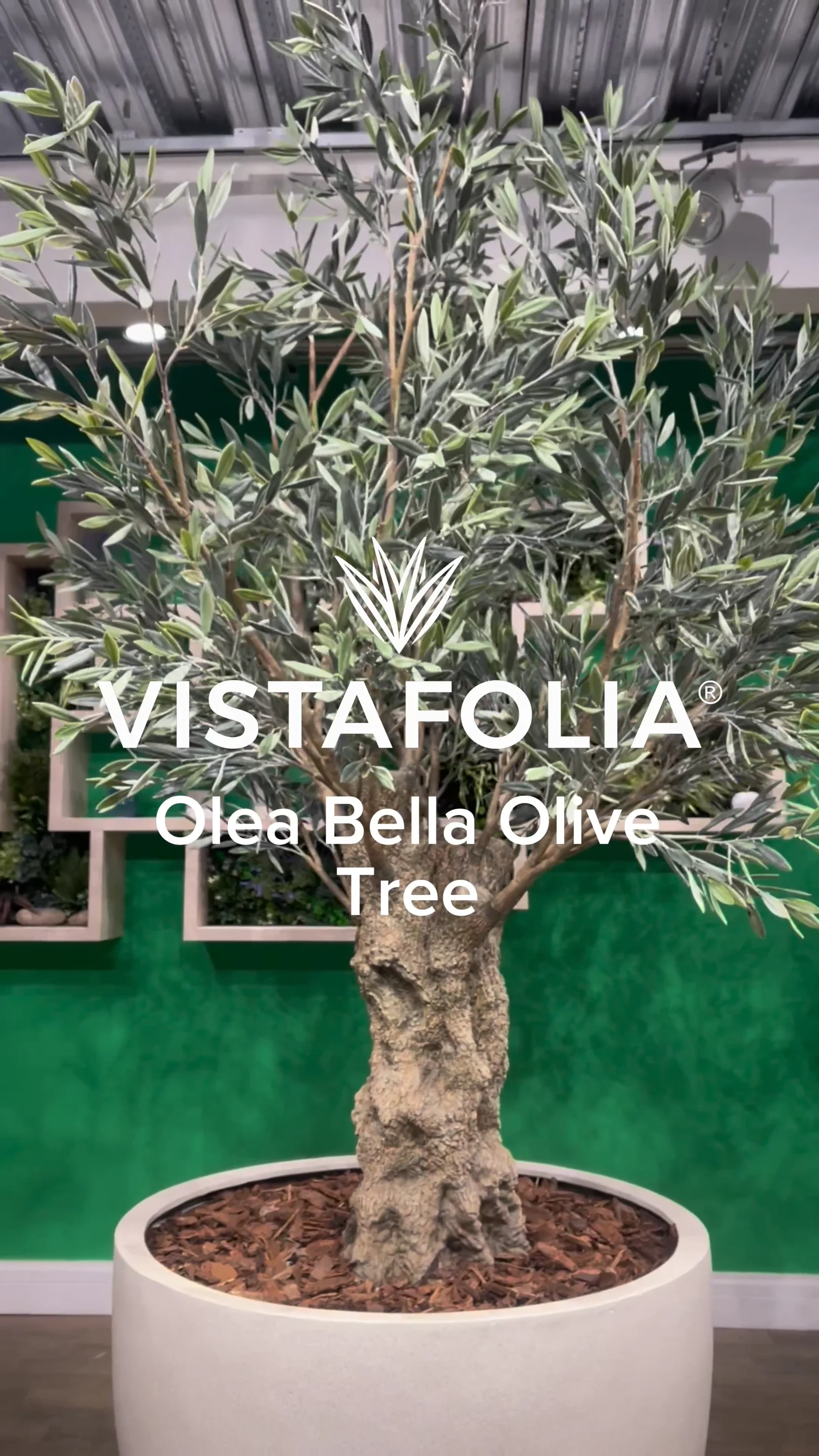 Artificial Olive Tree | Olea Bella Mature Tree | Vistafolia