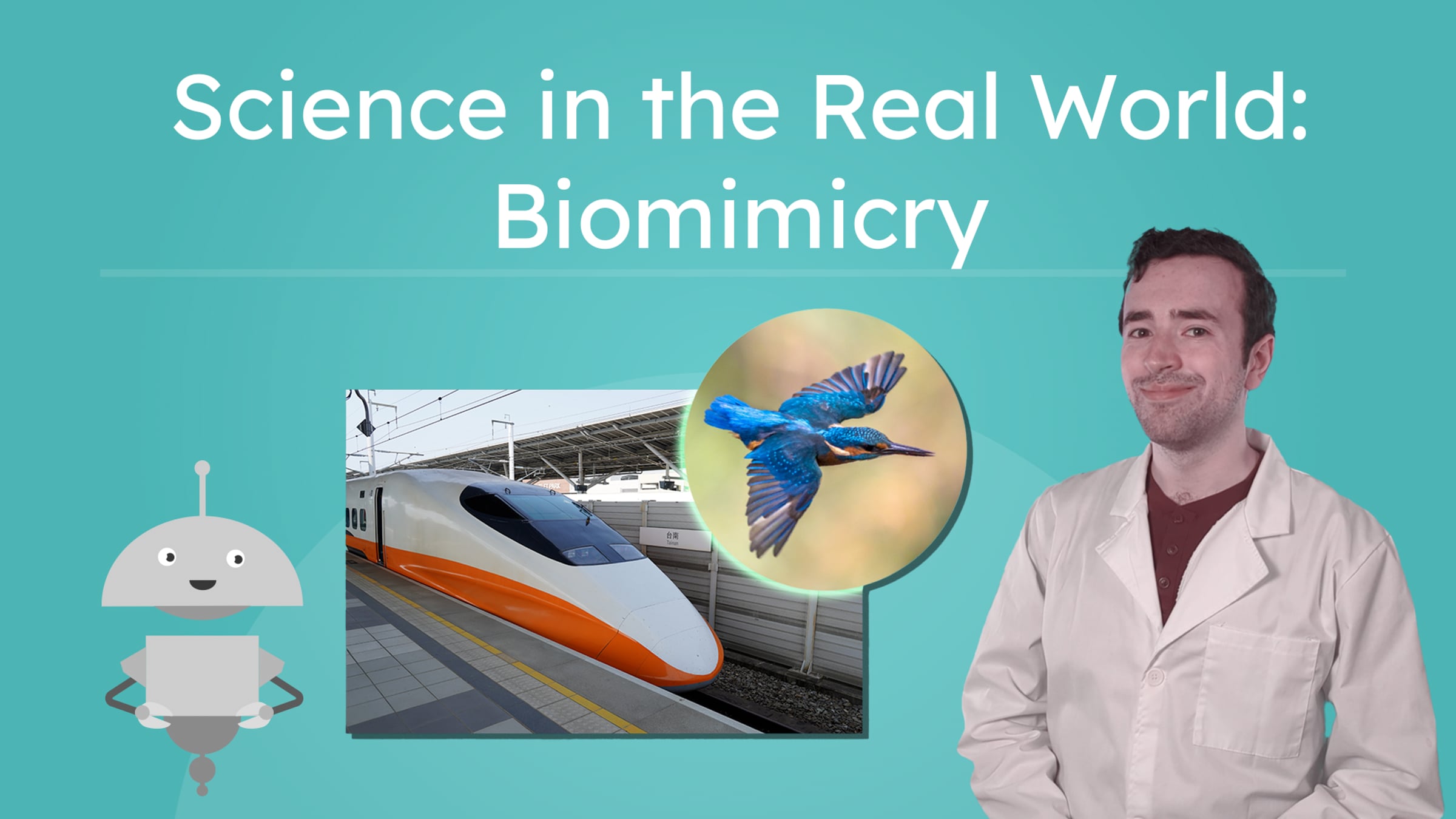 Science in the Real World: Biomimicry | Videos & Movies on Vimeo