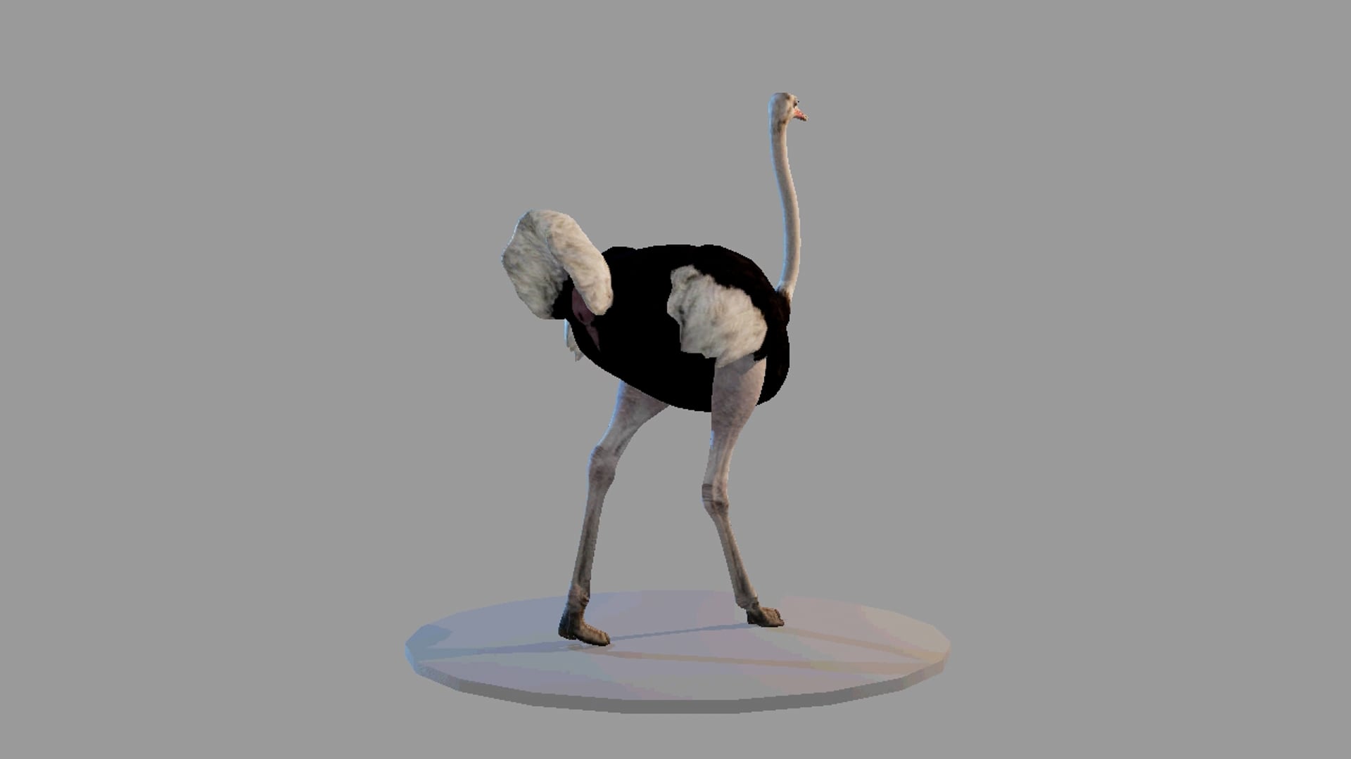 FullSizeRender