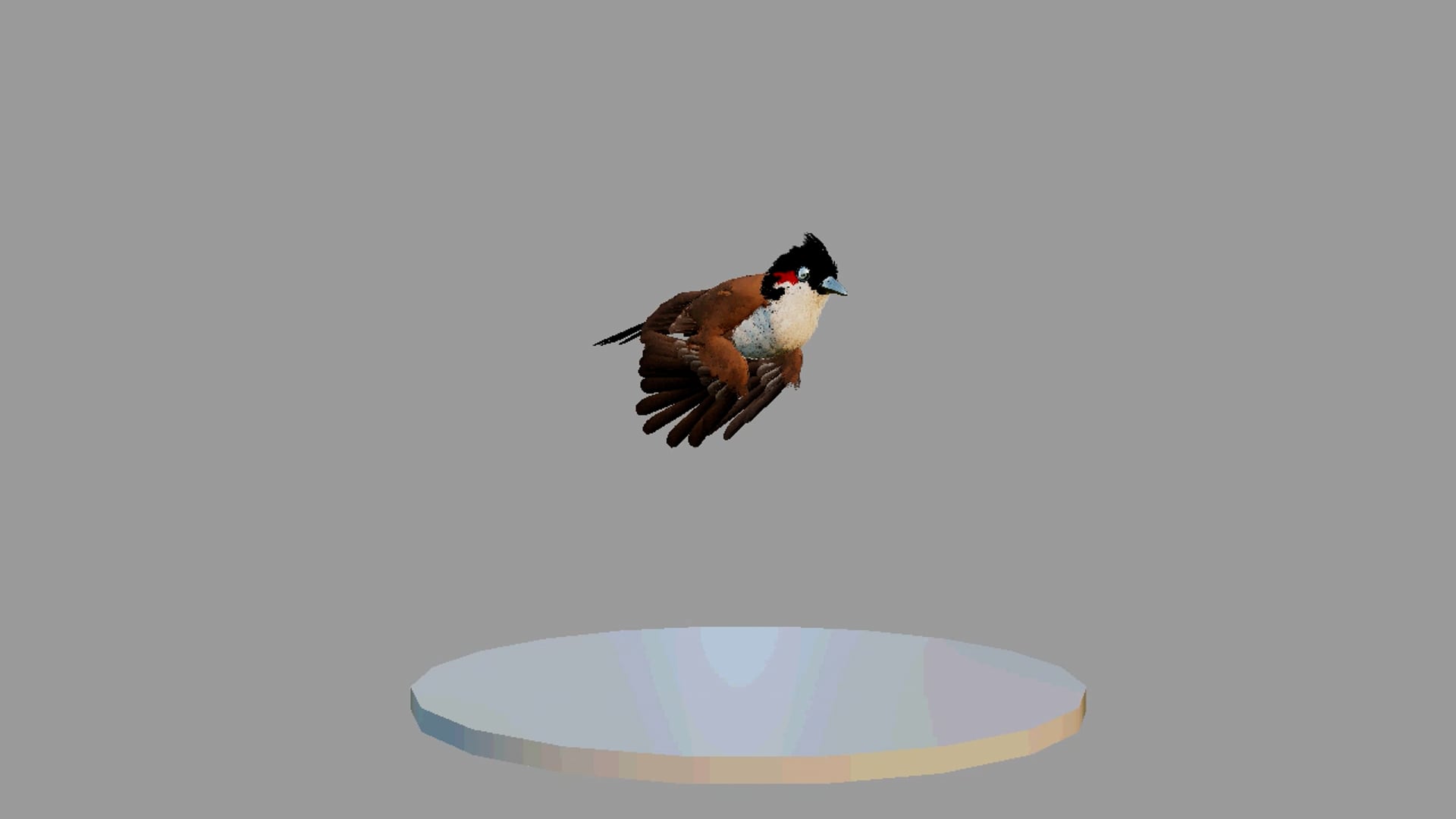 A5_BirdLanding_AR_POST_1