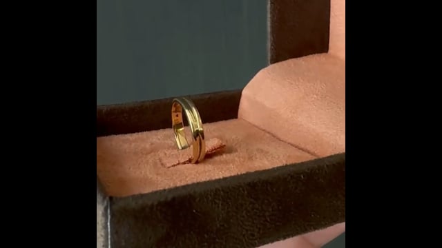 Anel Moderno | Modern Ring