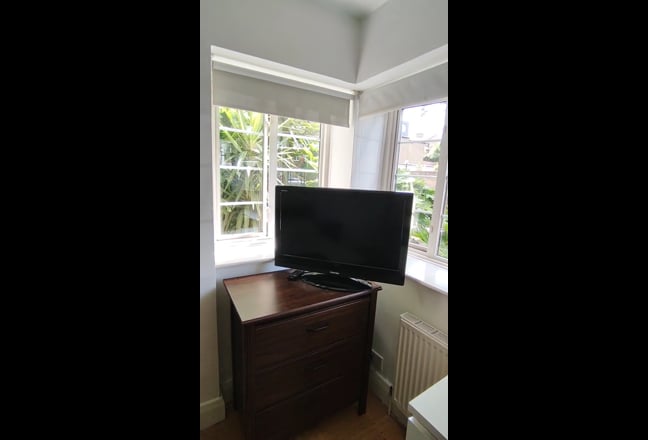 Clean, quiet, spacious room - 6 minutes from tube Main Photo