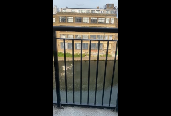 Video 1: