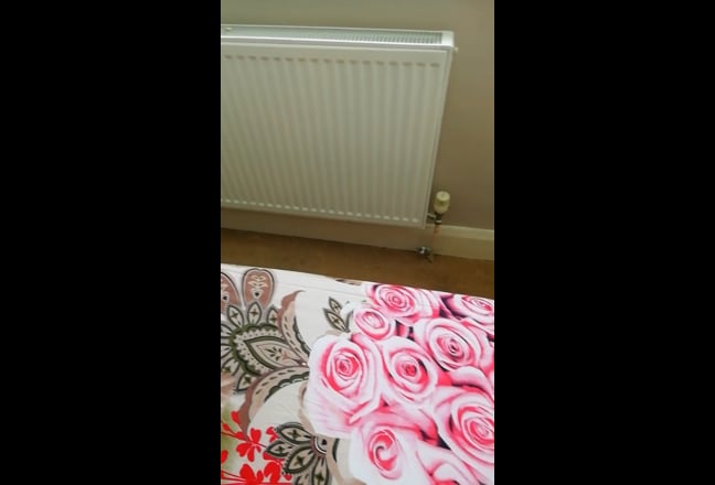Twickenham - Bright, compact and sunny single room Main Photo