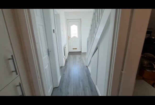 Video 1:
