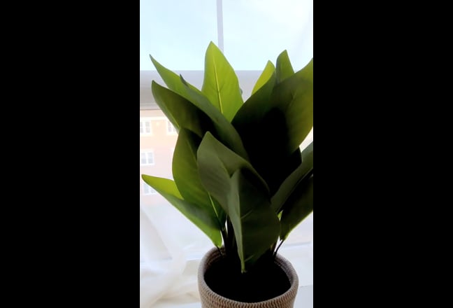 Video 1: Shared kitchen