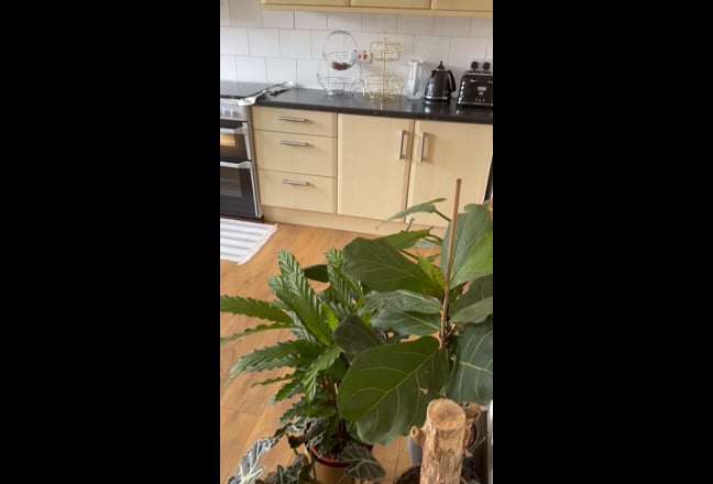 Video 1: