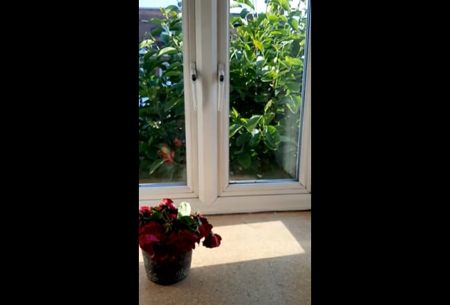 Small Dbl Room £750 in RICHMOND easy access to BR Main Photo