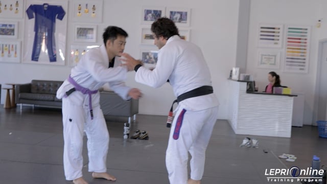 Lucas Sparring Session