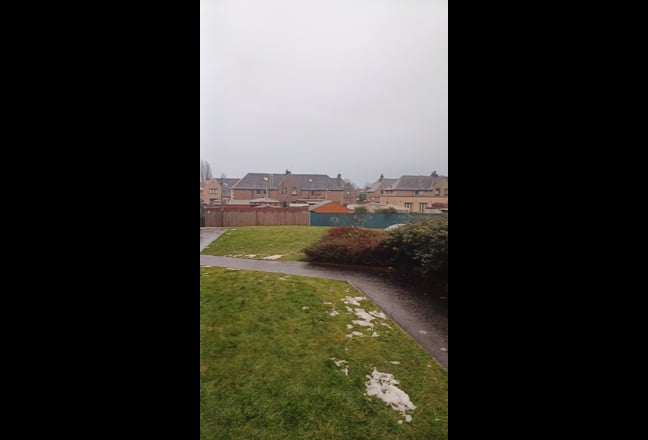 Video 1: