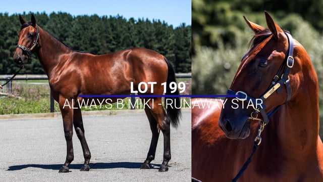 Lot 199