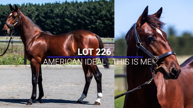 Lot 226