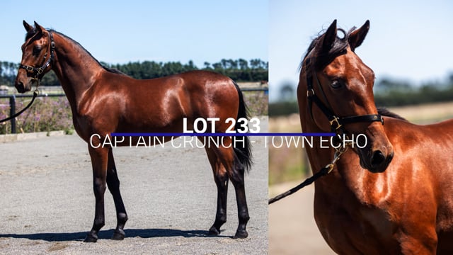 Lot 233