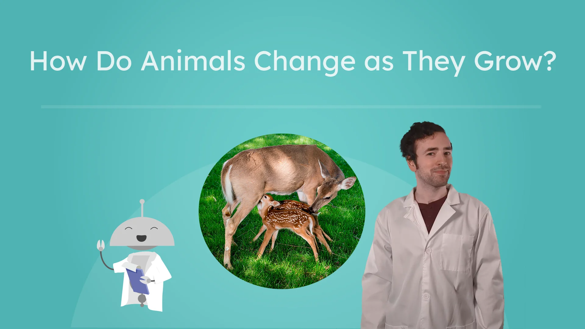 How Do Animals Change as They Grow?