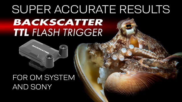 Backscatter TTL Trigger Promo