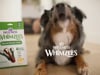 Whimzees Breshzees Grain Free Dog Dental Treats, Xs For Dogs 5 15 Lbs thumbnail number