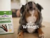 Whimzees Brushzees Natural Grain Free Dental Dog Treats, Extra Large, 1 Count thumbnail number