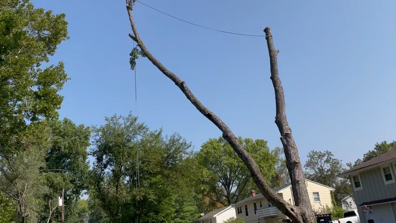 https://i.vimeocdn.com/video/1979631004-f1bb7cf1714cfc7c947b08a374b6ee8ebab8d96afb664fc9326245a6d71abb4f-d