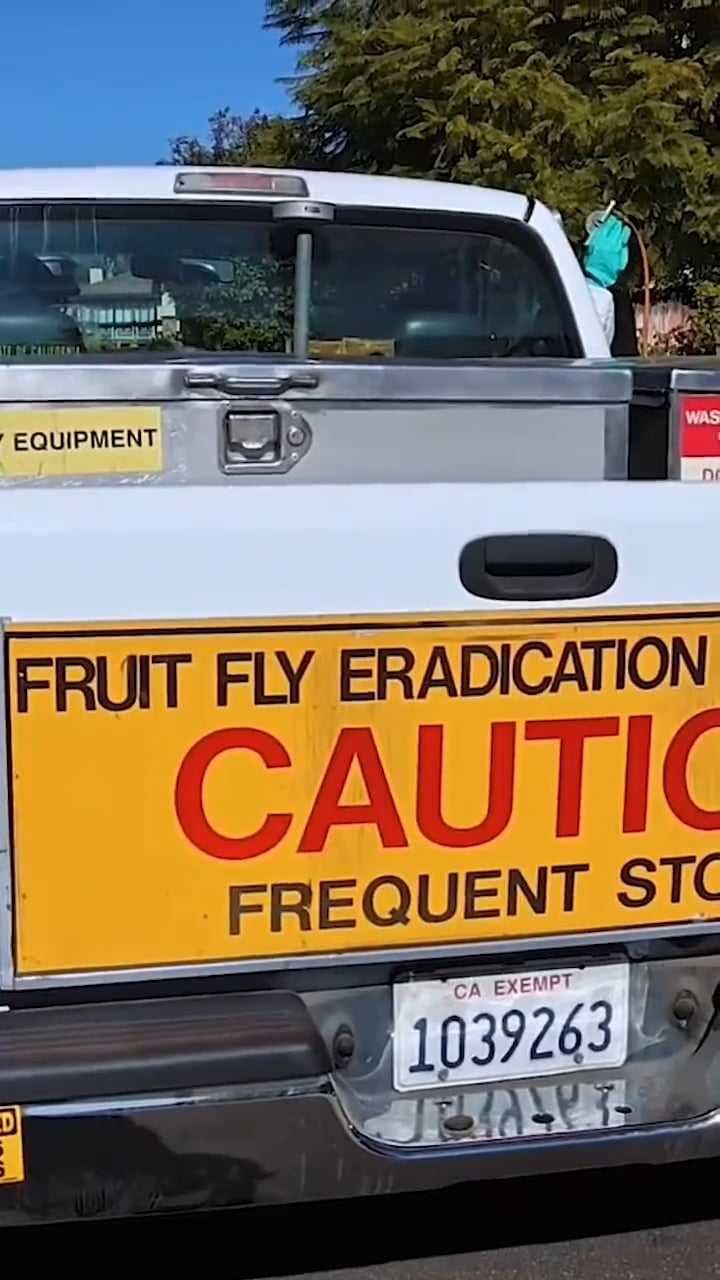 Micro-LA Countyology: Staying vigilant for the medfly