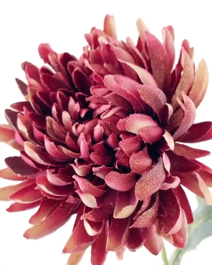 ﾌﾞﾗｯｼｭﾏﾑ: 造花（アーティフィシャルフラワー） ｜ YDM