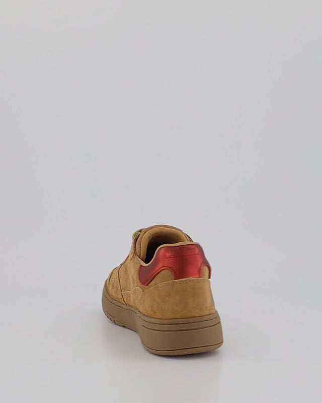 DART / Camel