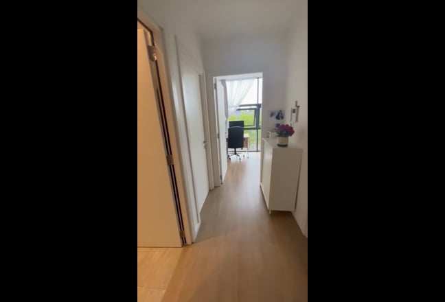 Video 1: 