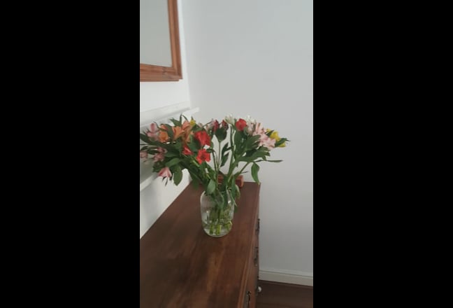Video 1: Bedroom 