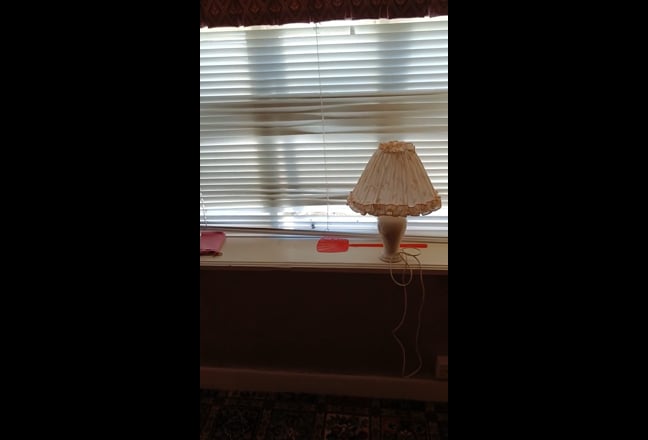Video 1: extensive gardens
