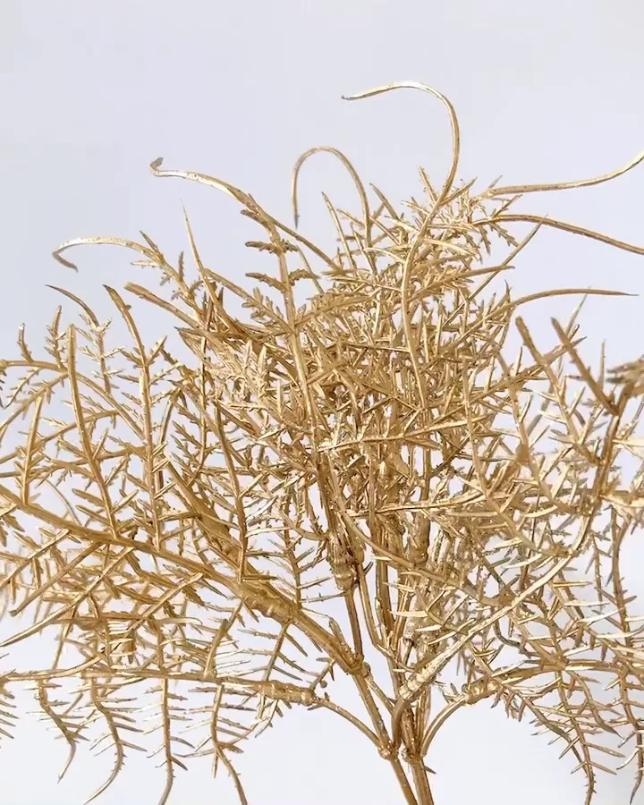 ﾌﾞﾗｯｼｭｱｽﾊﾞﾗﾍﾟﾗﾊﾞﾝﾁ: 造花（アーティフィシャルフラワー） ｜ YDM